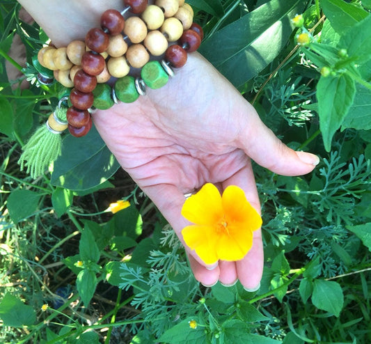 CALIFORNIA POPPY