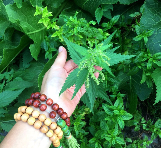 NETTLES