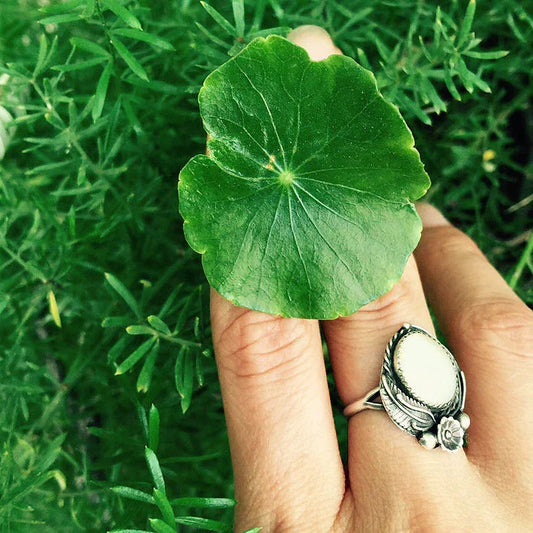 GOTU KOLA