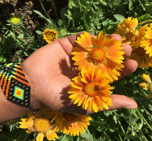 CALENDULA