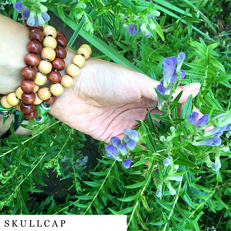 Brown hand with beige prayer beads holding skullcap flowers from CALM Herbal Blend