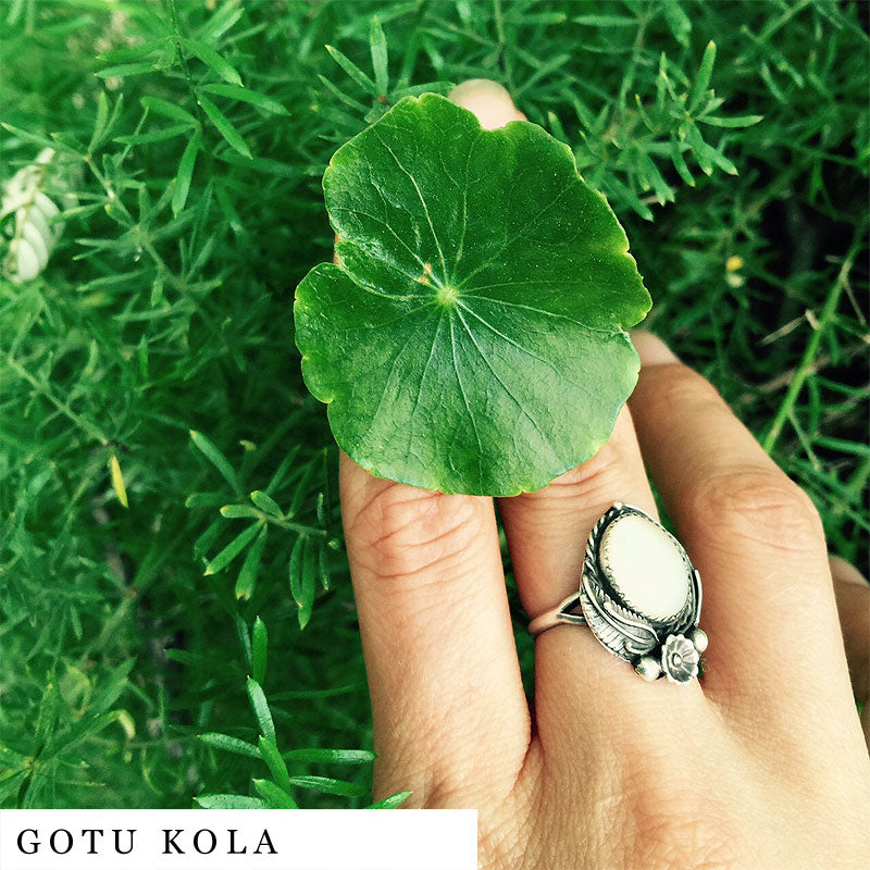 Gotu kola leaf held by light brown fingers with silver ring – ingredient in QUIT blend