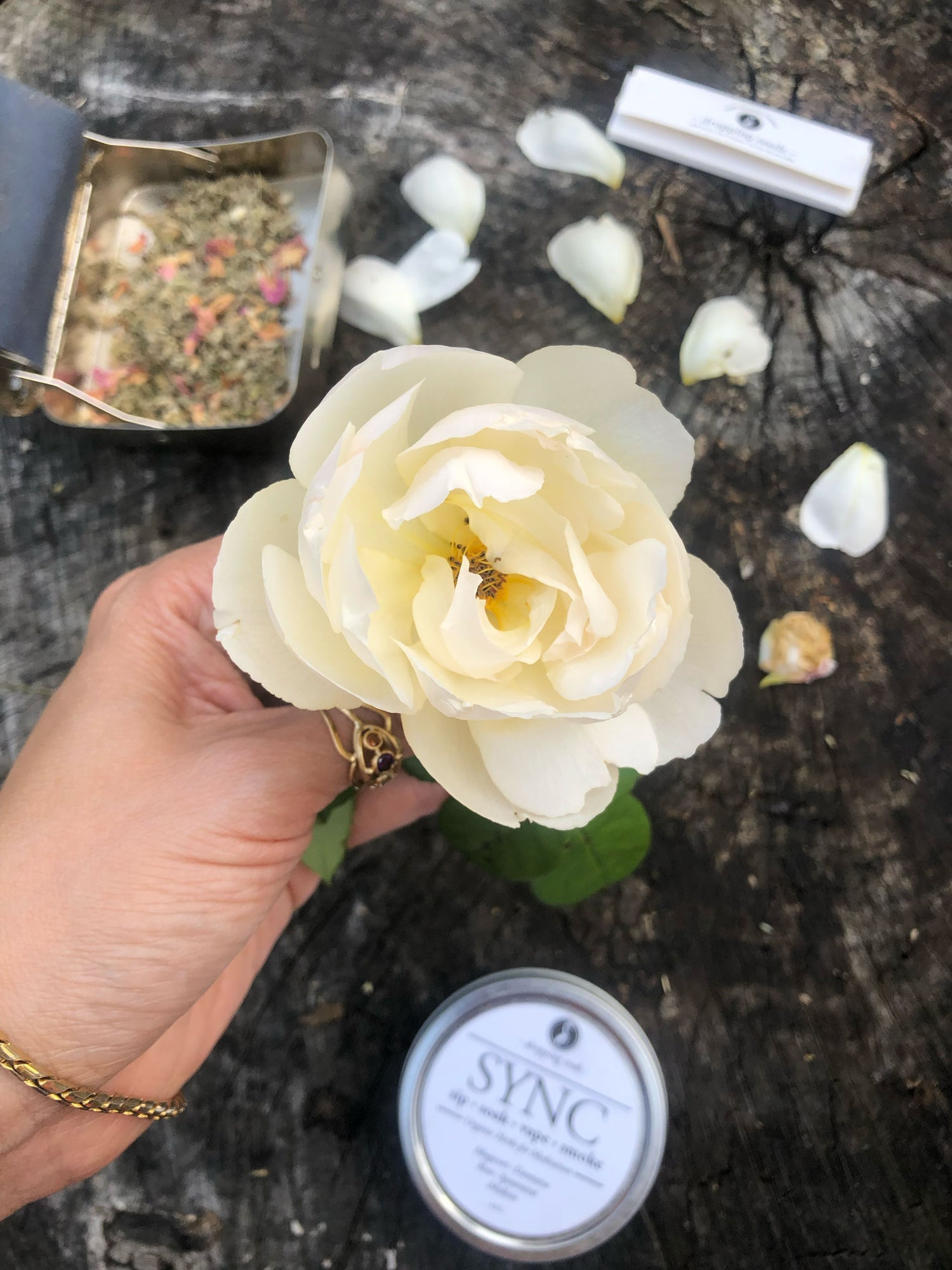 Hand holding a white flower with 'SYNC' containers on a dark surface