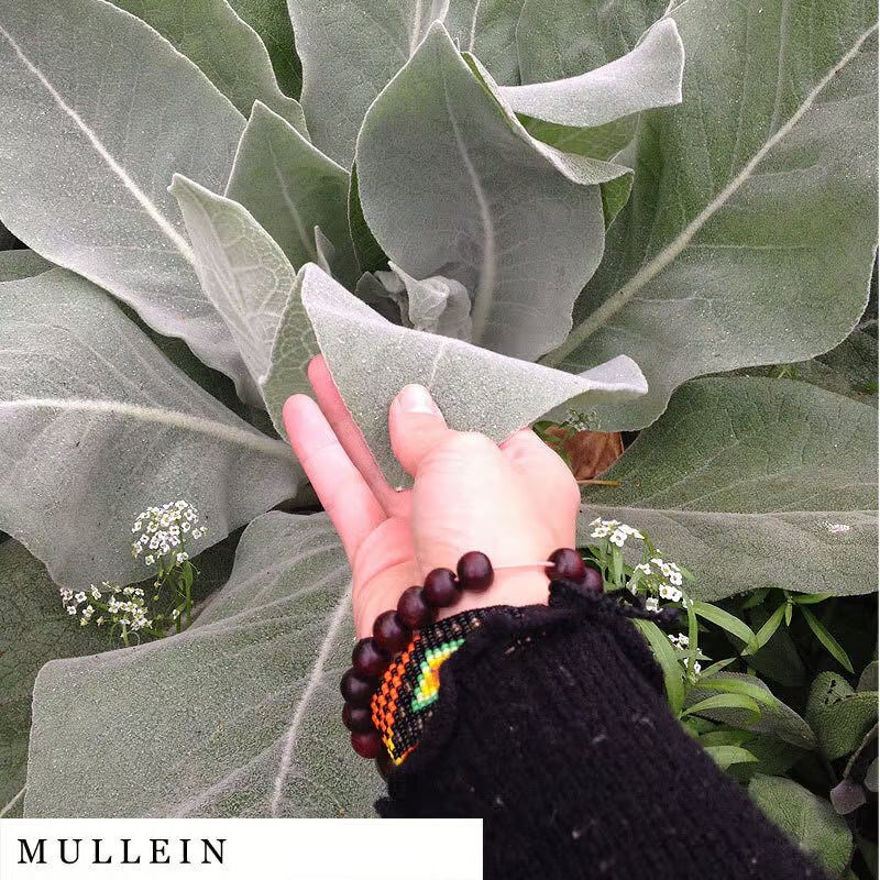 Hand with a beaded bracelet in front of large green leaves with 'Mullein' text.