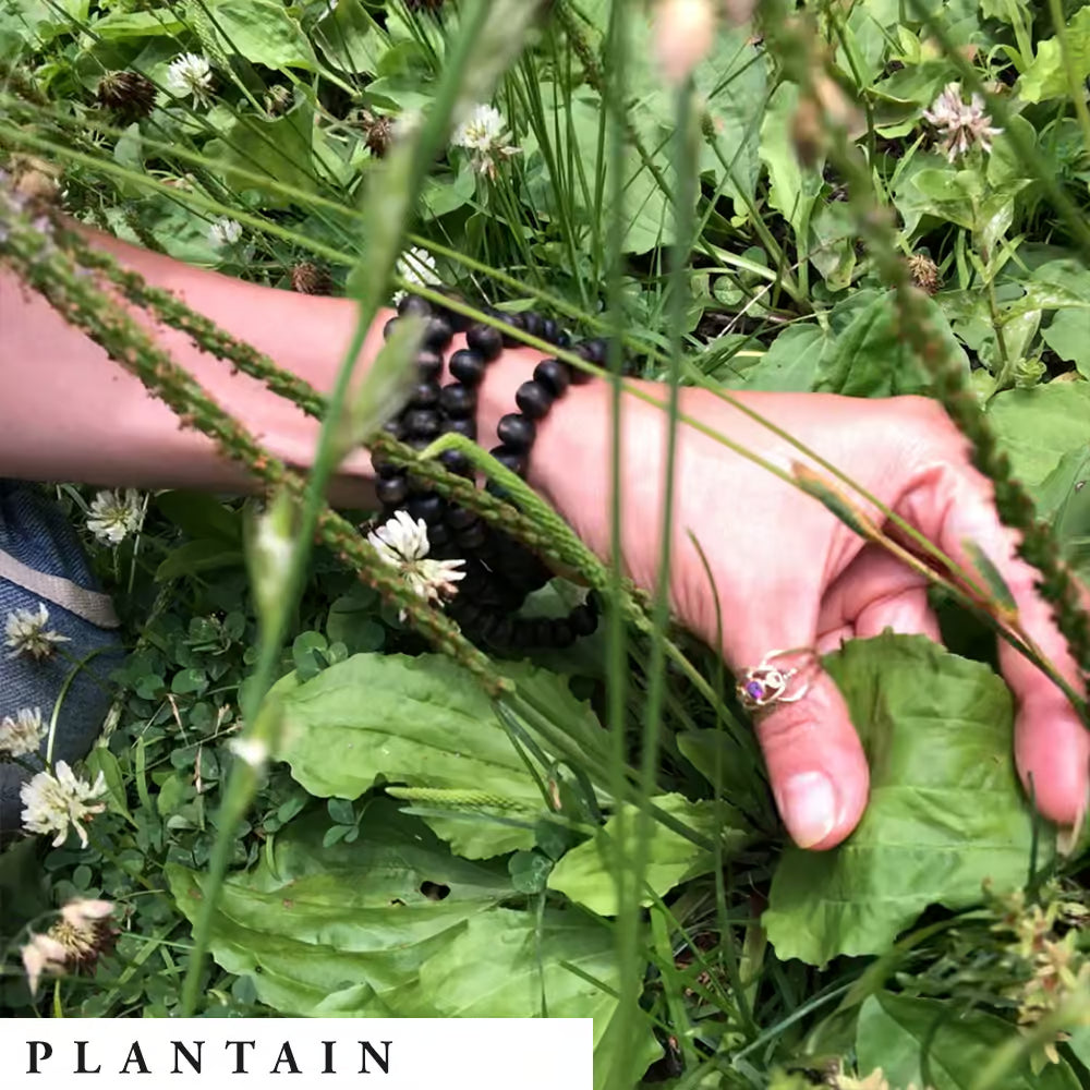 Hand with a black beaded bracelet holding a plantain leaf in a grassy field.