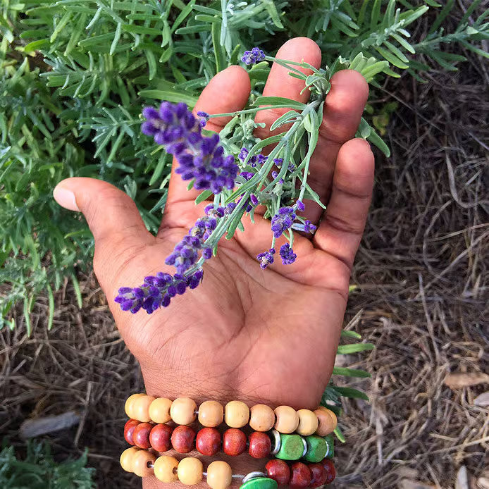 Hand holding a sprig of lavender with a background of green foliage.