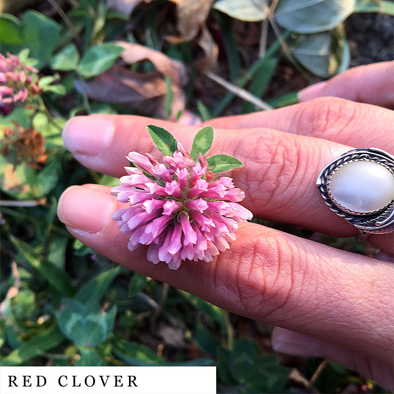 Pearl silver ring fingers gently holding a red clover flower from CENTER Herbal Blend