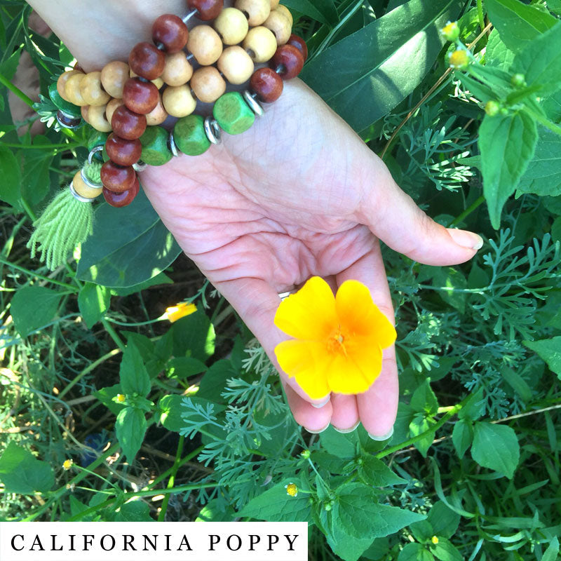 Yellow California poppy flower held by a hand with bead bracelet – ingredient in QUIT blend