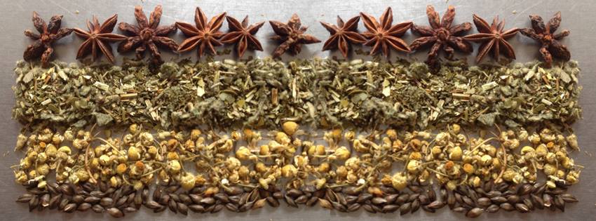 Rows of star anise, mullein leaves, chamomile buds and sunflower seeds arranged on a steel kitchen table.