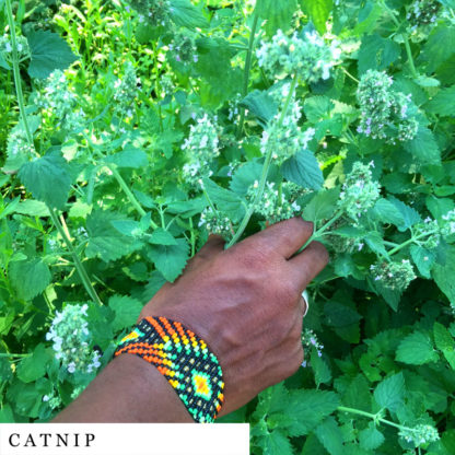 Hand holding catnip organic herbal smokable herb
