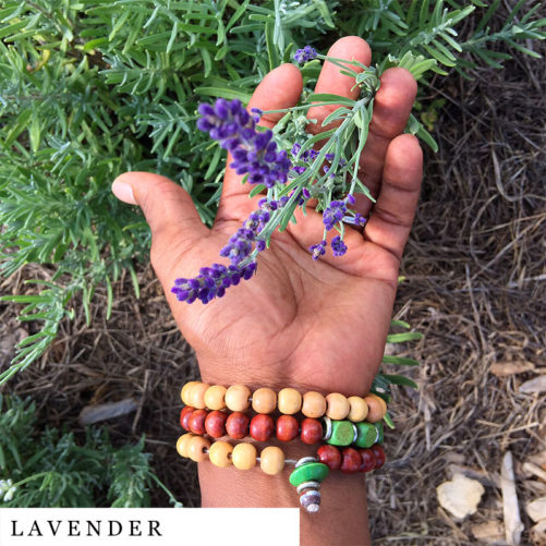 POC Hand holding lavender organic herbal smokable herb