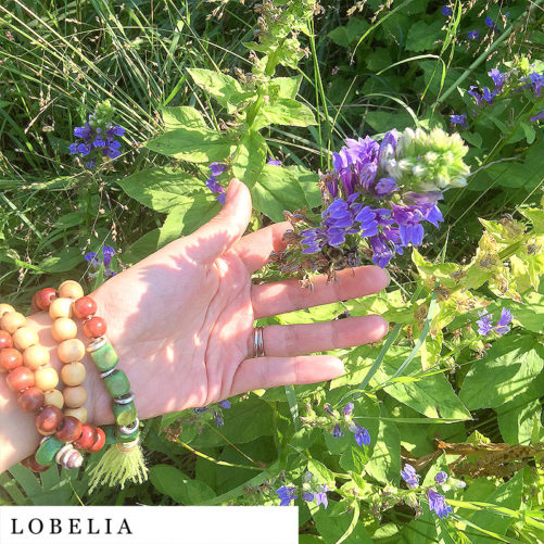Hand holding lobelia organic herbal smokable herb