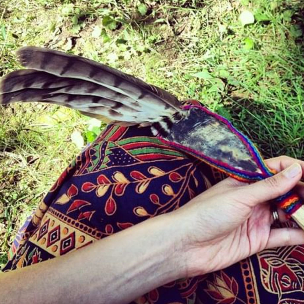 Plant medicine journey POC hand with feather.