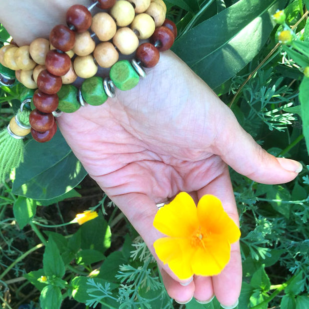 Hand holding California poppy organic herbal smokable herb