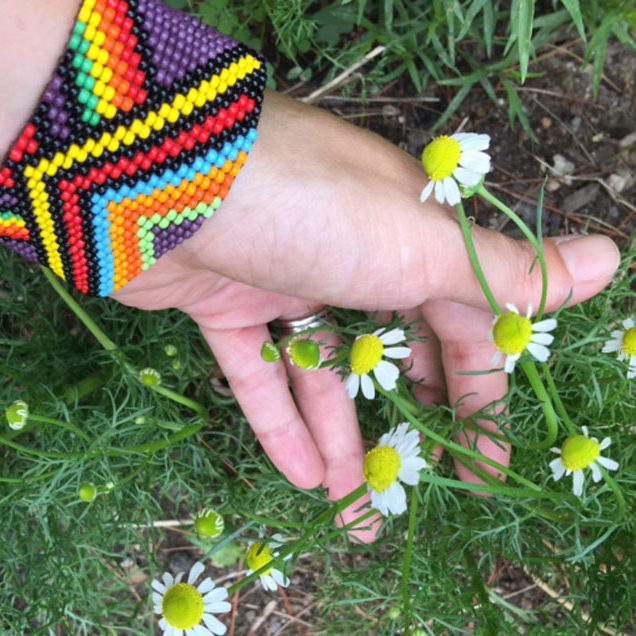 Hand holding chamomile organic herbal smokable herb