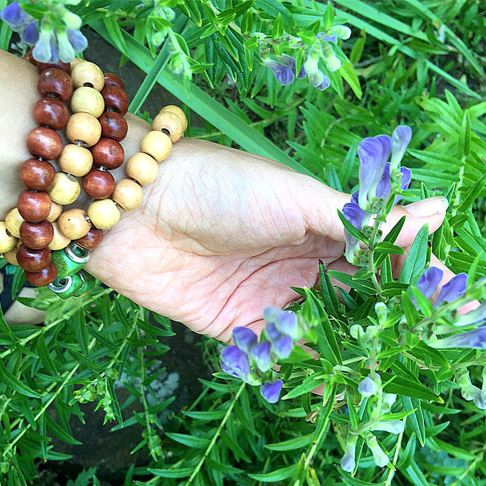 Hand holding skullcap organic herbal smokable herb